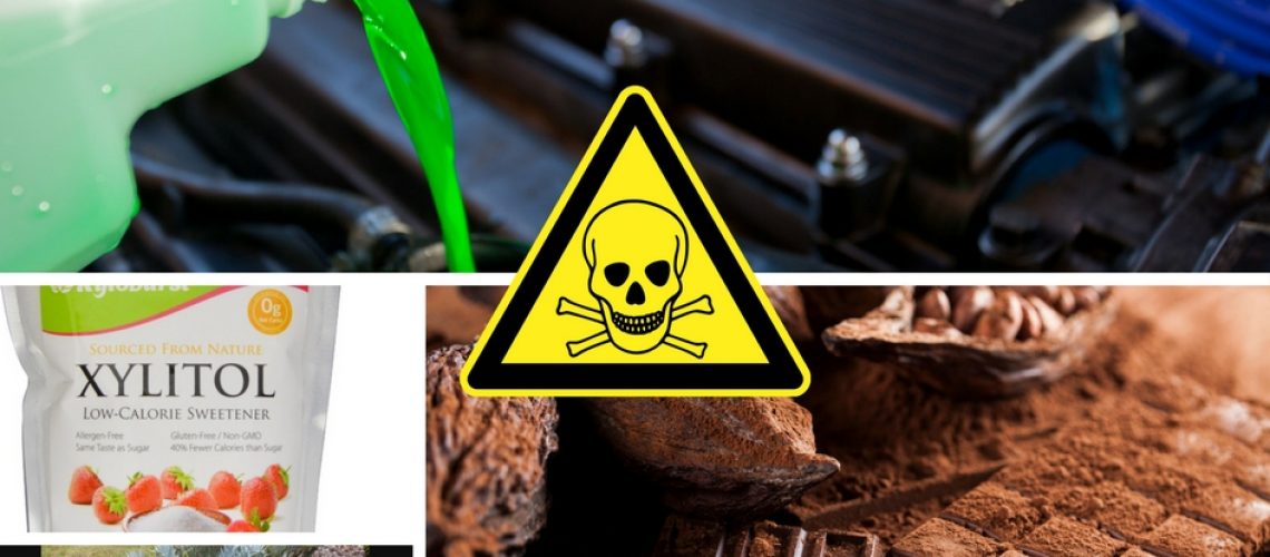 poison-feature
